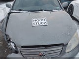 Toyota Corolla Ce/Le/Sport 2T1BR32E23C723125 photo