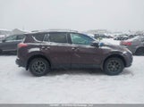 Toyota Rav4 Xle 2T3RFREVXHW597177 снимка
