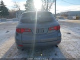Acura Rdx Technology 5J8TB18527A004795 снимка
