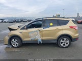 Ford Escape Se 1FMCU9GX5EUC25664 снимка