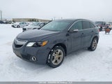 Acura Rdx 5J8TB4H32DL801936 снимка