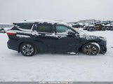 Toyota Highlander Xle 5TDGZRBH8NS580131 fotografie