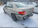 Toyota Corolla S/Le/Xle 2T1BU4EE7AC267068 снимка