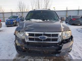 Ford Escape Xlt 1FMCU03G69KB17296 снимка