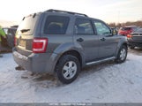 Ford Escape Xlt 1FMCU03G69KB17296 снимка