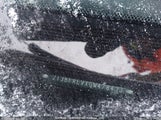 Toyota Rav4 Le 2T3BFREVXGW478433 снимка