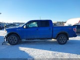 Ford F150 Supercrew 1FTFW1EV1AFA38631 снимка