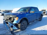 Ford F150 Supercrew 1FTFW1EV1AFA38631 снимка
