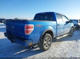 Ford F150 Supercrew 1FTFW1EV1AFA38631 снимка