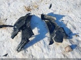 Hyundai Santa Fe Gl 3.5/Gl 3.5 Sport 5XYZGDAG6BG074557 снимка