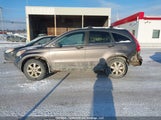 Honda Cr-V 5J6RE48549L802976 снимка