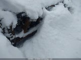 Ford Escape Titanium 1FMCU9J95HUE19187 снимка