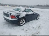 Mercedes-Benz Slk 320 WDBKK65F82F264858 снимка