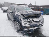 Acura Mdx 2HNYD2H70AH000611 снимка