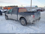 Ford F-150 Xlt 1FTEW1EP4GFB79036 fotografie