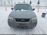 Ford Escape Xlt 1FMYU93176KB64659 снимка
