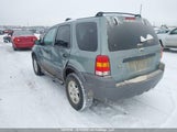 Ford Escape Xlt 1FMYU93176KB64659 снимка