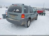 Ford Escape Xlt 1FMYU93176KB64659 снимка