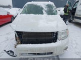 Ford Escape Xlt 1FMCU0D7XCKB70427 fotografie