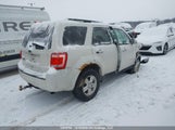 Ford Escape Xlt 1FMCU0D7XCKB70427 fotografie