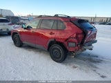 Toyota Rav4 Xle/Xle Premium 2T3R1RFV1NW276654 photo