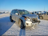 Toyota Rav4 2T3BF33V79W019511 fotografie