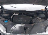 Honda Passport Sport 5FNYF8H20MB501564 fotografie