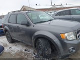 Ford Escape Xlt 1FMCU9D79AKA84303 снимка