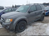 Ford Escape Xlt 1FMCU9D79AKA84303 снимка