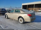 Toyota Corolla S/Le/Xle 2T1BU4EE2AC299183 снимка