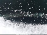 Honda Civic Lx 2HGFB2E4XDH024496 снимка