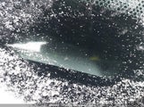 Lincoln Mkz 3LNHL2GC6BR758588 снимка