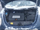 Volkswagen New Beetle Gls 3VWCK21Y73M306201 снимка