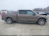 Ford F-150 Xlt 1FTFW1EG4HKE29484 снимка