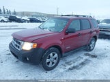 Ford Escape Xlt 1FMCU93168KC61588 снимка