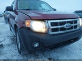 Ford Escape Xlt 1FMCU93168KC61588 снимка