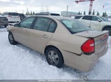 Chevrolet Malibu Ls 1G1ZT52885F287017 снимка