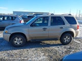 Ford Escape Xlt 1FMYU93147KA16762 снимка