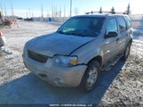 Ford Escape Xlt 1FMYU93147KA16762 снимка