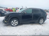 Toyota Rav4 Xle 2T3W1RFV1MC168571 снимка