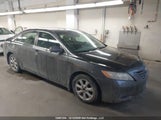Toyota Camry Se/Le/Xle 4T1BE46K99U801103 photo