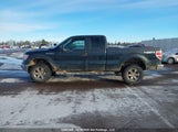Ford F-150 Xlt 1FTFX1EFXEFB78771 снимка
