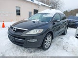 Mazda Cx-9 JM3TB38A490169769 photo