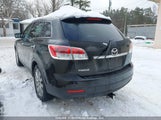 Mazda Cx-9 JM3TB38A490169769 снимка
