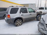 Ford Escape Xlt 1FMYU93167KB23831 снимка