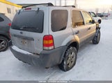 Ford Escape Xlt 1FMYU93167KB23831 снимка