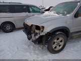 Ford Escape Xlt 1FMYU93167KB23831 снимка