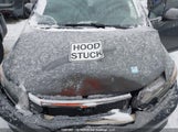 Honda Civic Ex 2HGFB2F55CH002752 снимка