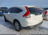 Honda Cr-V Exl 2HKRM4H76DH114002 снимка
