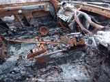 Toyota Supra JZA801005054 photo